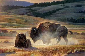 Nancy Glazier - Eye Of The Storm By Nancy Glazier Print  Signed & Numbered