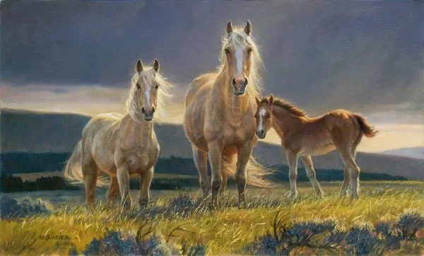 Golden Glory By Nancy Glazier by Nancy Glazier — giclee on canvas