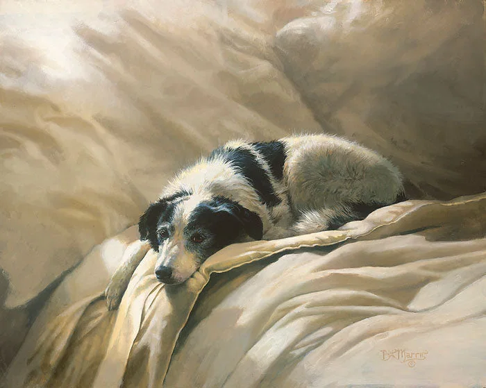 Clean Linen by Bonnie Marris — Giclee On Canvas Artist Proof