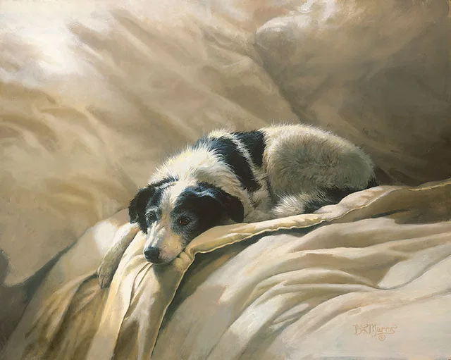 Clean Linen by Bonnie Marris