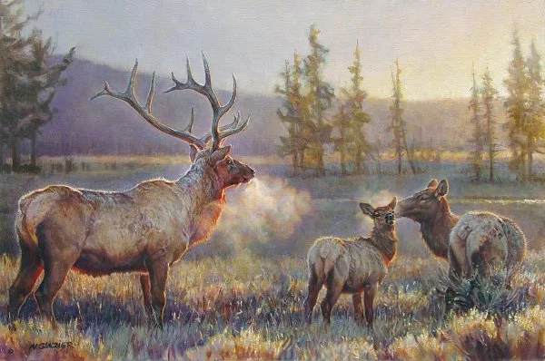 Morning By Nancy Glazier by Nancy Glazier — giclee on canvas