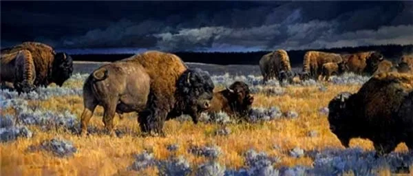 Restless By Nancy Glazier by Nancy Glazier — Giclee On Canvas Artist Proof