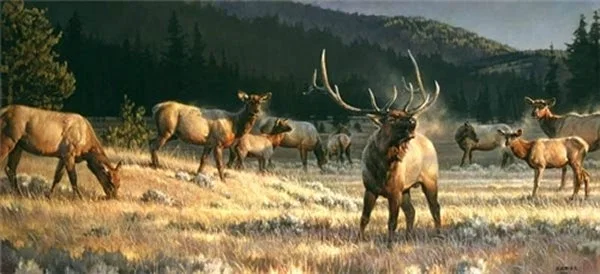 Rocky Mountain Meadow By Nancy Glazier by Nancy Glazier — Giclee On Canvas Artist Proof