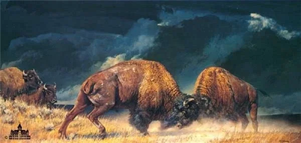 Rolling Thunder By Nancy Glazier by Nancy Glazier — giclee on canvas