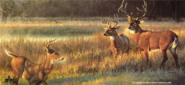 Nancy Glazier artwork