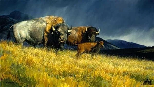 Stormy By Nancy Glazier by Nancy Glazier — Giclee On Canvas Artist Proof