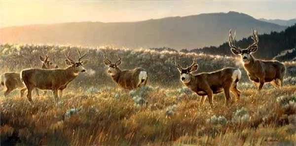 The Gathering Place By Nancy Glazier by Nancy Glazier — giclee on canvas