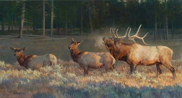 Wake Up Call By Nancy Glazier by Nancy Glazier — Giclee On Canvas