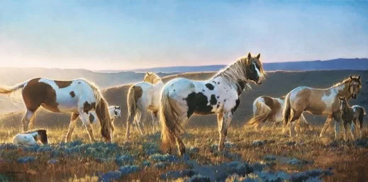 Welcome The Dawn By Nancy Glazier by Nancy Glazier